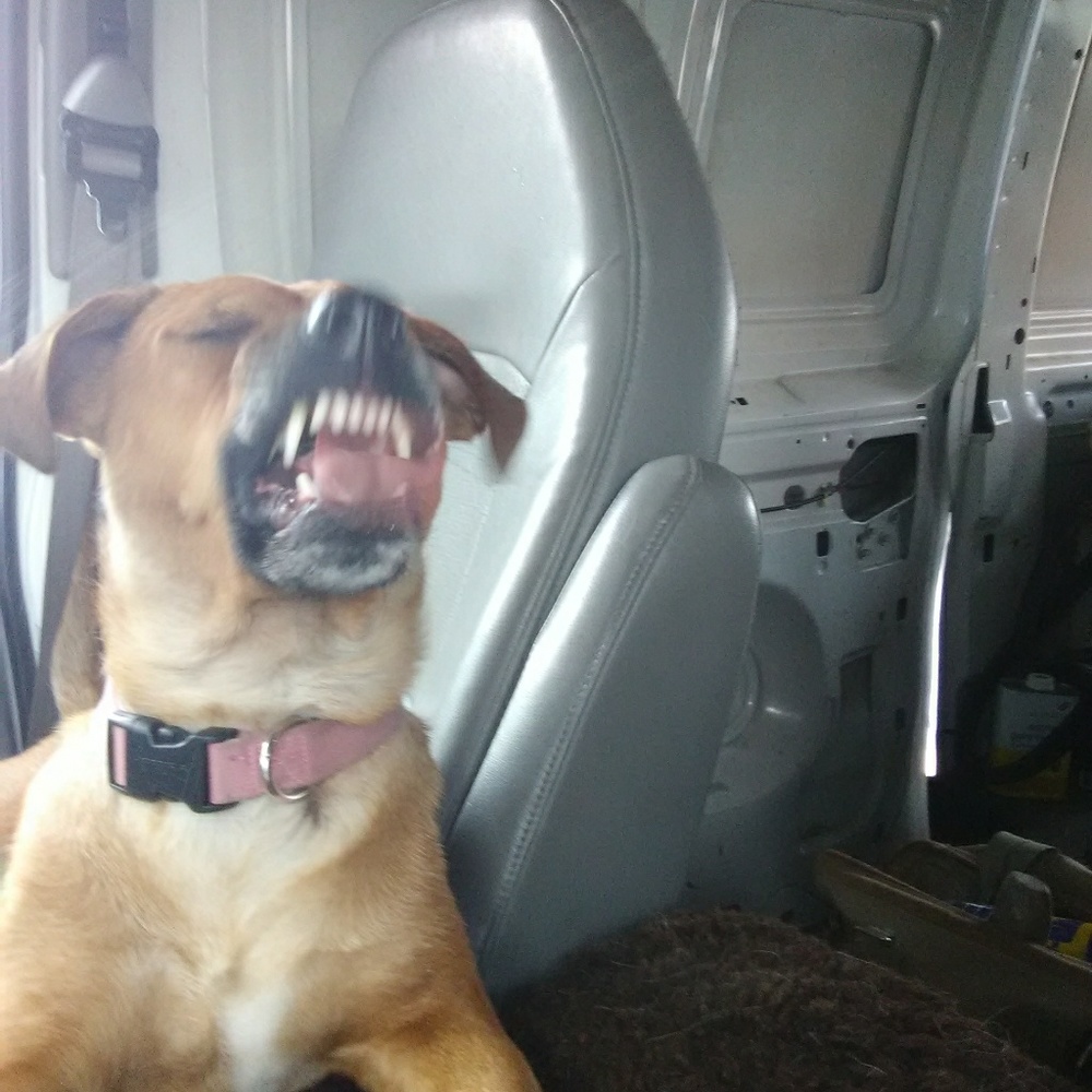 Meet your Posher, Michelle